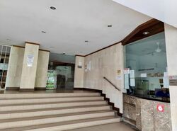 Tan Tong Meng Tower (D11), Apartment #459522791